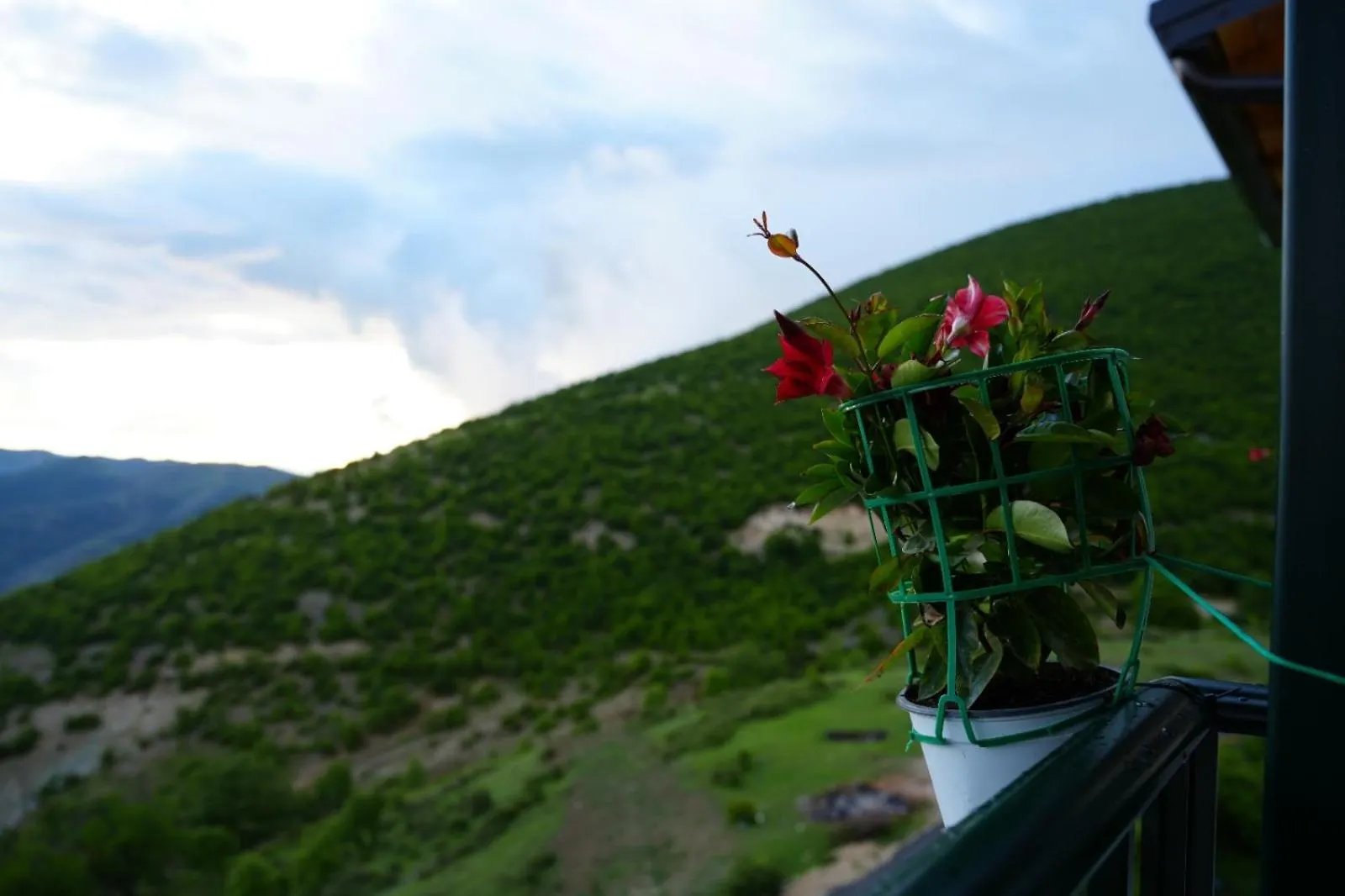 Vila Sofia Gllava - Resort Memaliaj Albanien