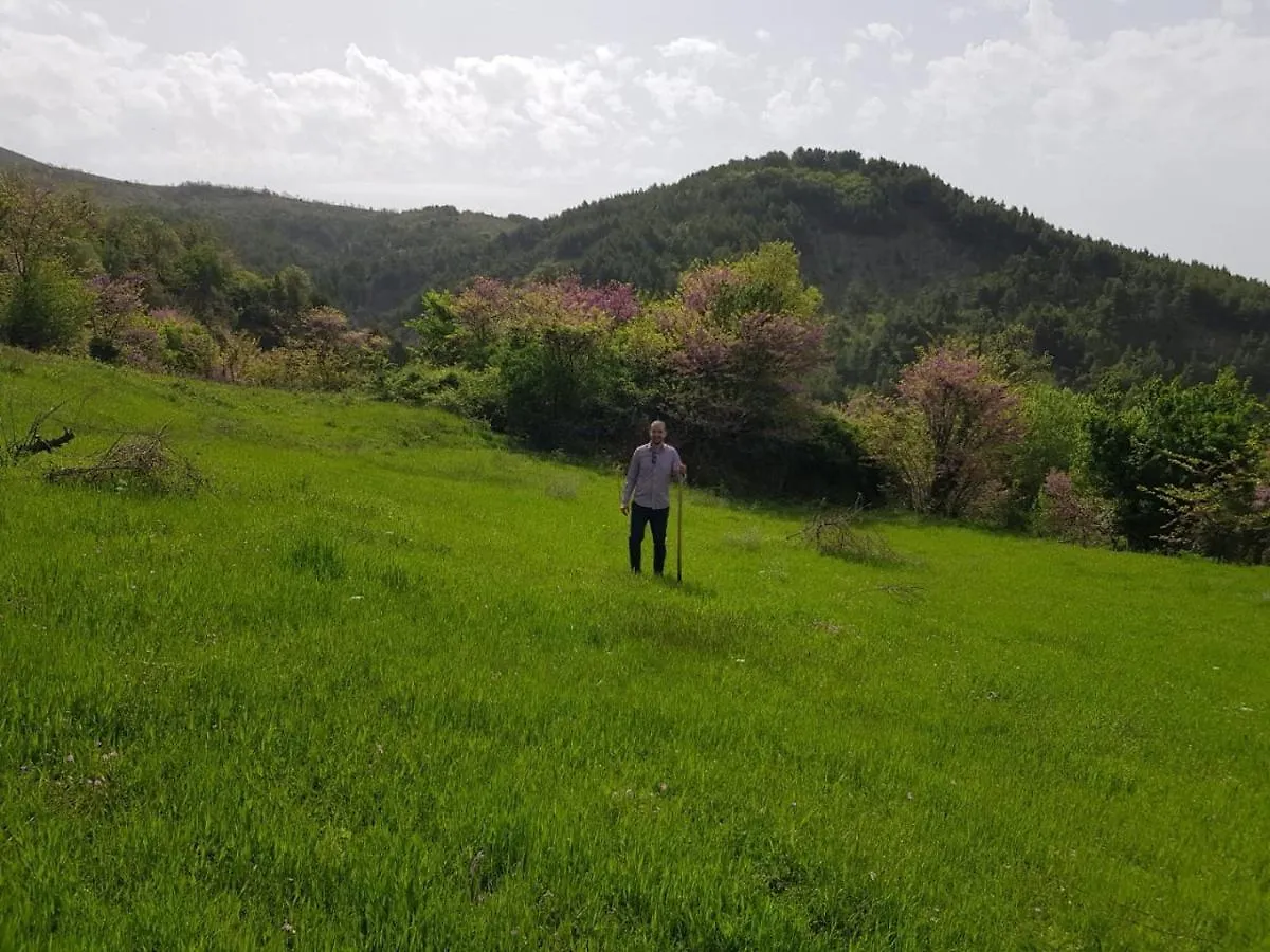 Vila Sofia Gllava - Resort Memaliaj 0*,  Albania