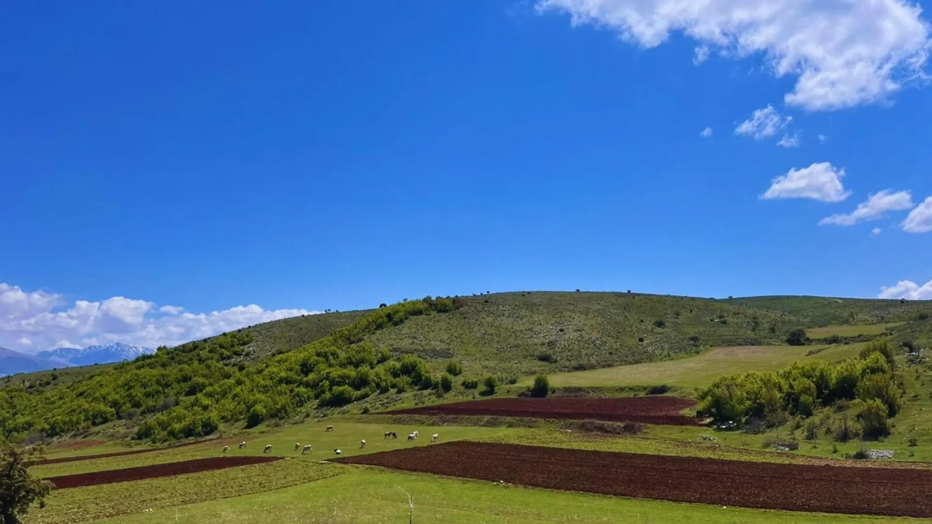 Guest house Vila Sofia Gllava - Resort Memaliaj Albania