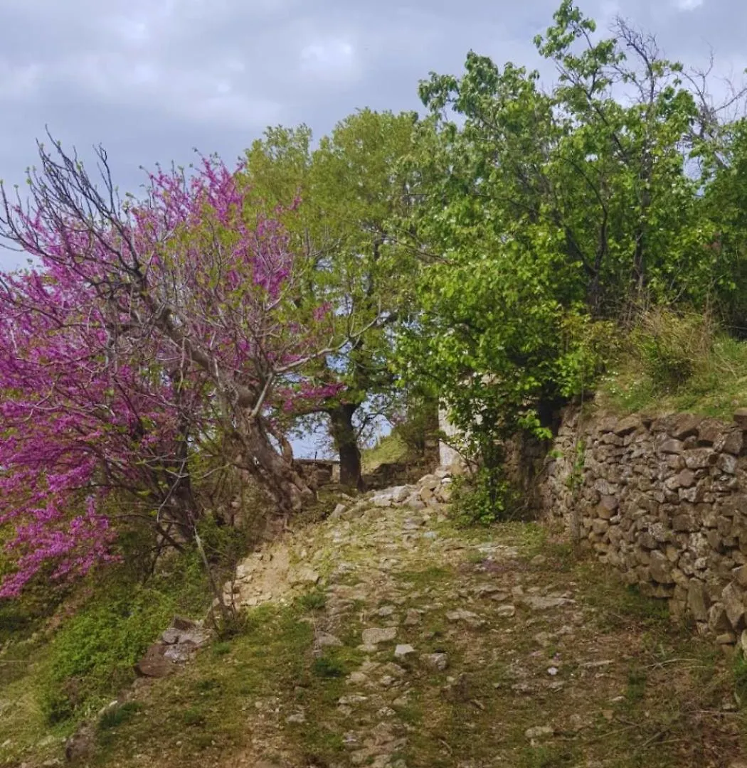 Vila Sofia Gllava - Resort Memaliaj
