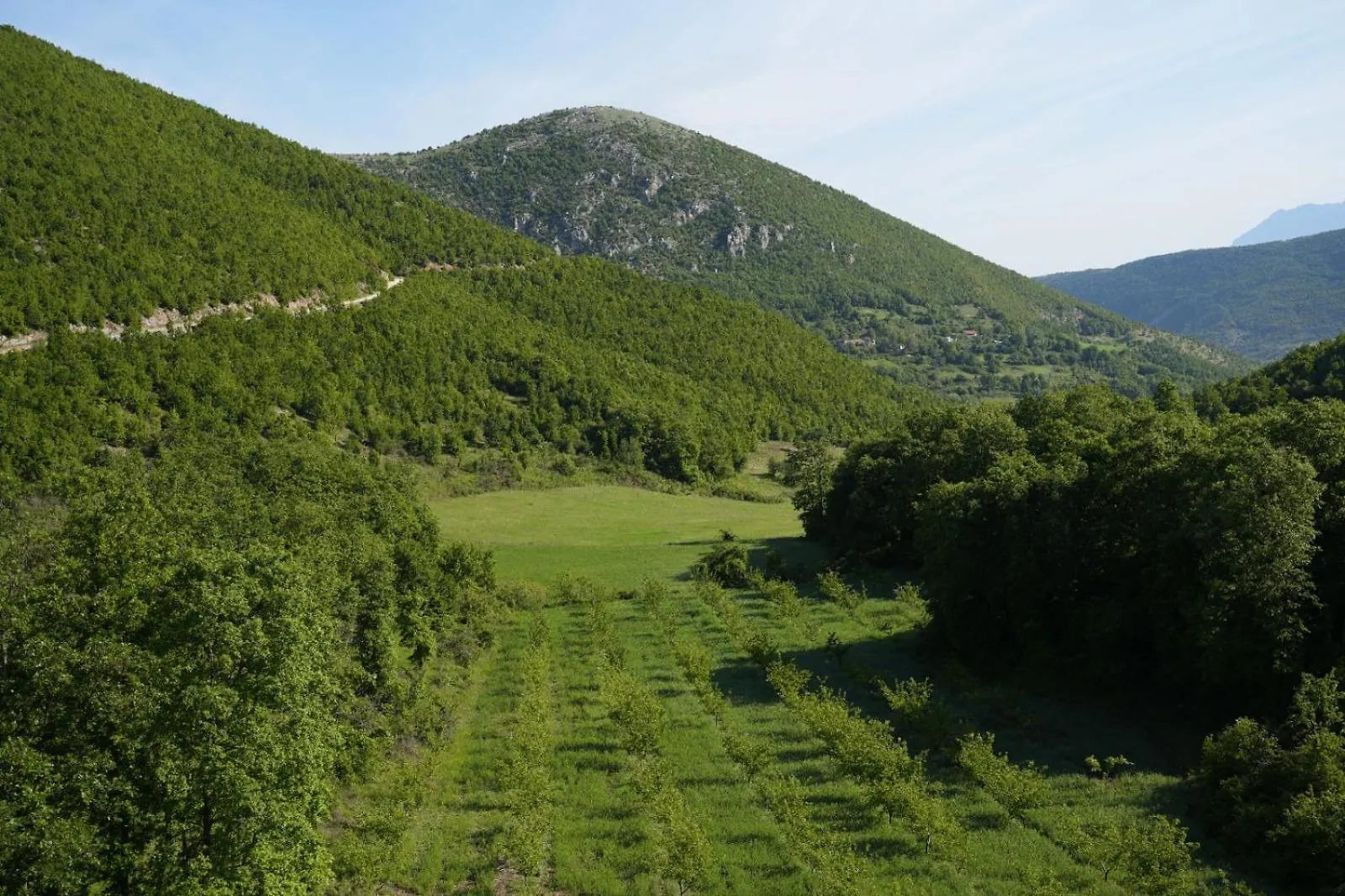 Vila Sofia Gllava - Resort Memaliaj